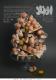 Theater Poster